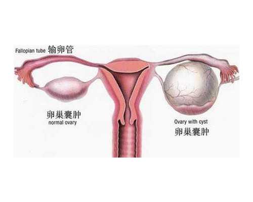 北京古玩鉴定专家张如兰,金秋十月，十二星座总体运势提前知！