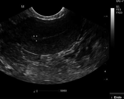 古玩交易软件哪个好,和十二星女异地恋的小窍门，快收藏！