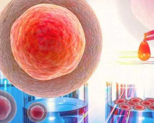 香港pg验血查询电话,女性备孕期间要遵守的饮食原则