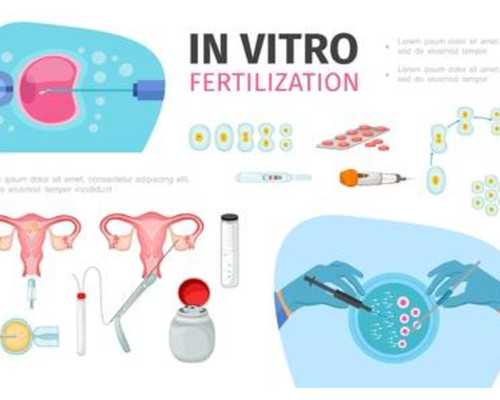 抽血拿香港验血查胎儿准吗,泰国试管婴儿高龄女性如何科学备孕