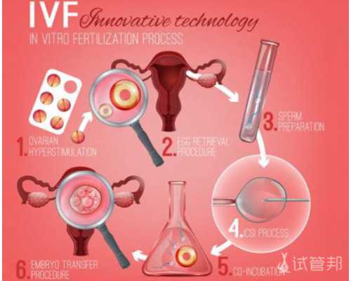 香港验血鉴定男女半年内打过胎准吗,怀孕八周去香港验血准吗_检测性别会不会