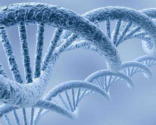 怀孕香港验血费用多少,11周了可以香港验血吗?告诉你真相