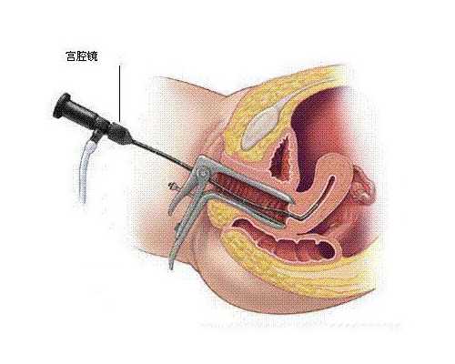 中国最大的古玩收藏家,辣炒麻酱花菜