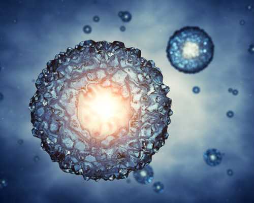 香港验血男女大概多少钱,泰国试管最佳服务机构是什么样的？