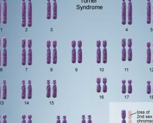 dna验血香港做一次多少钱,月经期间体重为什么增加
