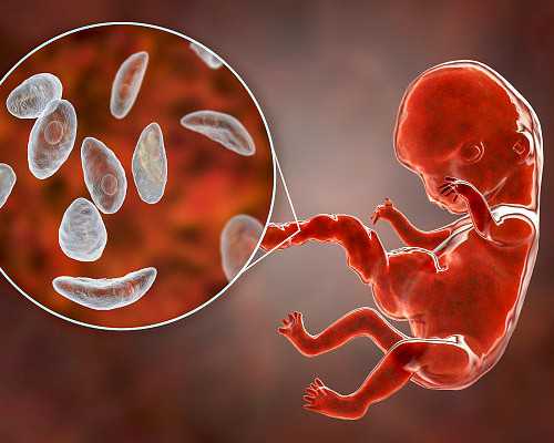 专业香港验血诊所哪家好,泰国试管婴儿医院针对多囊患者用拮抗剂方案