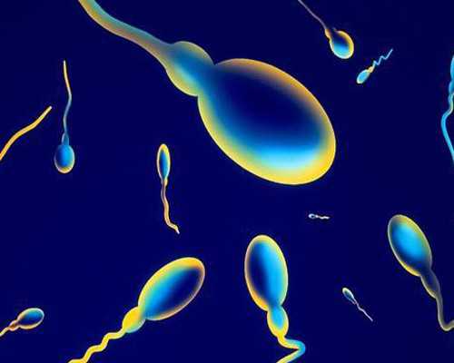 生化妊娠后再怀孕影响香港验血吗,香港验血11周了还准吗,性别鉴定几周准确