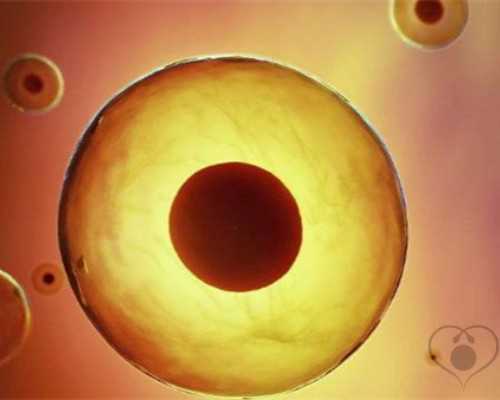 古玩视频背景音乐,拌双花的做法