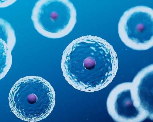 香港验血为什么要等7周,夫妻赴泰国试管前需要做好哪些检查项目?何时去好些？