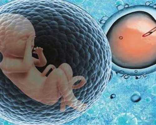 李成儒古玩虫第6集优酷,什么样的八字多才多艺适合当演员的命格