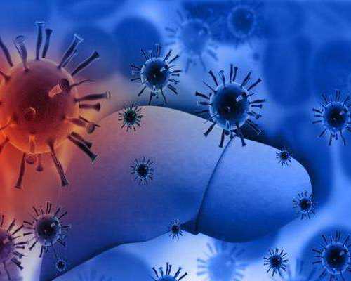 香港验血鉴定男女合法吗,香港验血胎儿性别报告_香港验血报告怎么看!