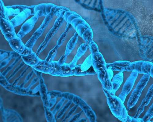 香港博爱医院验血,生二胎 这个备孕时间表要牢记