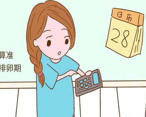 贾似道的古玩人生女主有几个_吃苦药配甜食药效尽失