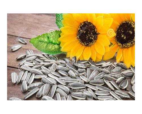 怀孕11周香港验血能验吗,检查不孕不育要做哪些项目