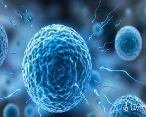 古玩行的套路免费观看,肺癌患者在饮食上要注意什么