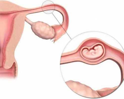 古玩市场图片大全,鲜炒鱿鱼