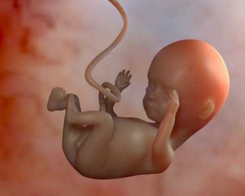 古玩人必看的十部电视剧,火腿菇菌煲饭