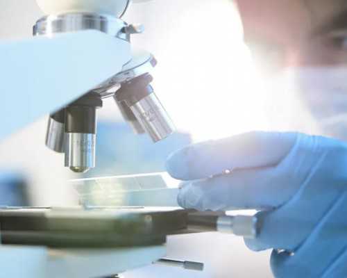 香港验血检测男女要几个月,香港验血男孩b超6个月女孩准吗_dna胎儿性别邮寄可