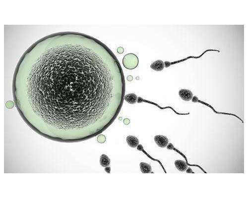 上海古玩市场图片及价格,巨蟹男和摩羯女谁吃定谁让巨蟹男上头的女人