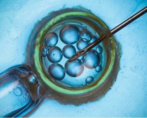 香港验血满7周从哪天算_香港验血单上怎么看才知道是男女_自己的亲身经历分享