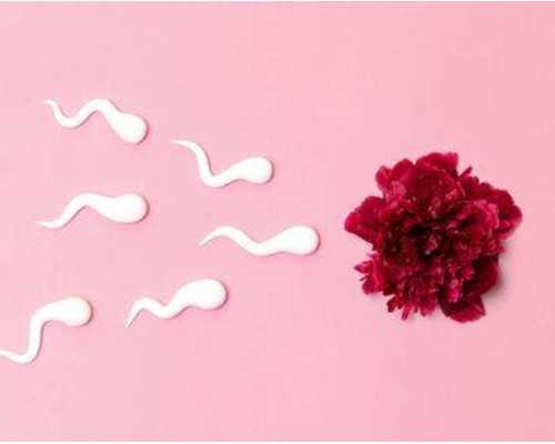 香港验血鉴定男女哪家医院,15周还能去香港验血测男女,鉴定性别真的靠谱吗