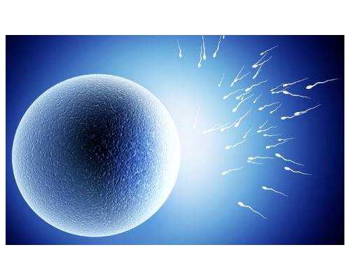 香港验血测胎儿性别机构哪家好_香港验血性别6周可以吗_鉴定性别会翻盘吗!