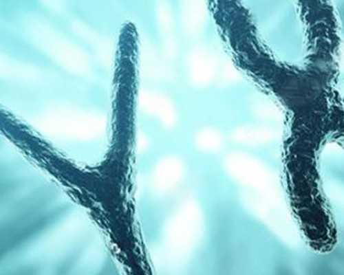 香港验血中介违法吗,香港验血报告怎么看准不准_寄血过去可靠吗性别鉴定