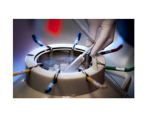 香港验血星期六星期天休息吗,谈笑爱心基金助孕公益行走进随州 80余不孕不育