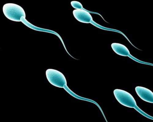 多少周香港验血最准,子宫肌瘤会对泰国试管成功率有影响吗?