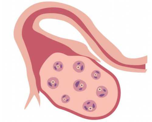古玩收藏交易网,瑜伽练就S型身材