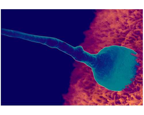 大连古玩鉴定中心地址,这些星座配对大概率走不到结婚这一步