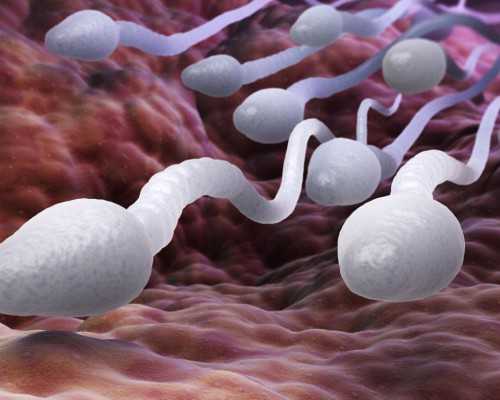 怀孕香港验血可以检测dna,备孕期间老公还抽烟可以吗