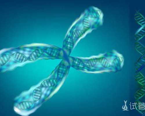 古玩知识入门书籍,梦见绳子