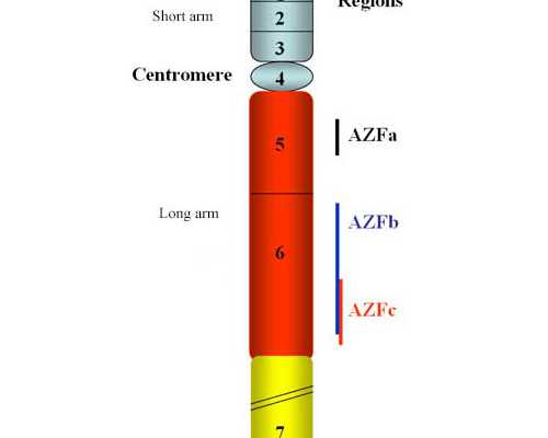 古玩捡漏从离婚后开始,12星座谁最凶