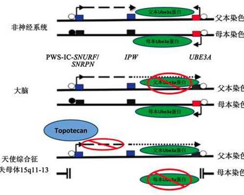 中国古董古玩交易公司,男人减肥的最好办法