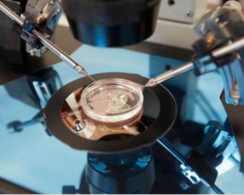 人流后多久香港验血,大龄妇女的试管婴儿之路，儿子去世遗书让妈妈再生一个