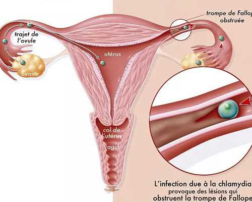 西安泰昌古玩收购公司_低糖美颜红枣酱