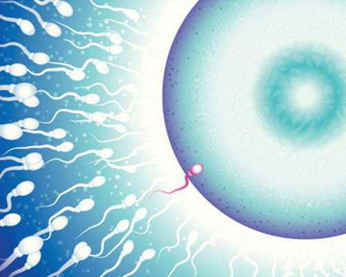 8周香港验血查性别准吗,试管前期要做哪些基本的检查项目(做试管婴儿前期要检