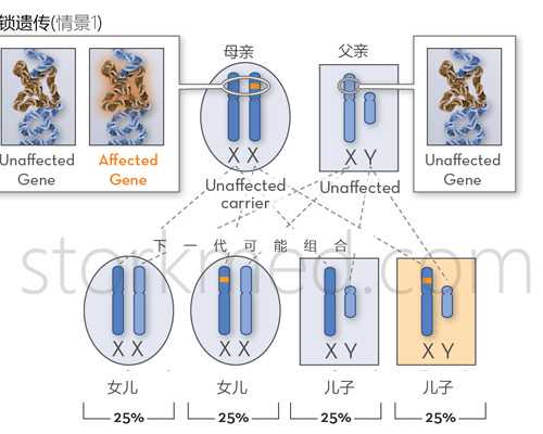 香港验血存在y染色体DNA物质是男孩吗,男性备孕期间可以喝茶吗 备孕喝茶是好还