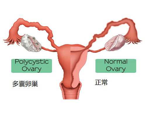 十大古玩市场,这么吃美味绝对不发胖的窍门