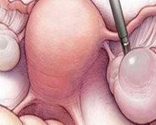 香港医院验血周六上班吗_香港可以正常查男女吗,香港查男女真会翻盘吗