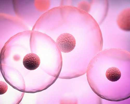 香港验血会不会有黑心中介,泰国试管婴儿双胞胎是怎么实现的费用和单胎一样