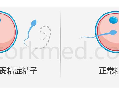 南京古玩鉴定机构,跟现任分手只为和前任复合的星座