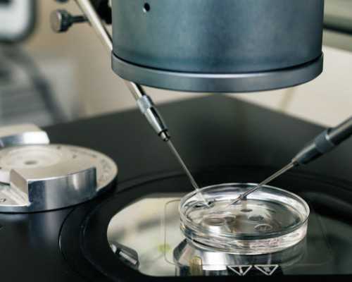 胚芽6周香港验血,妇科炎症会导致不孕不育吗