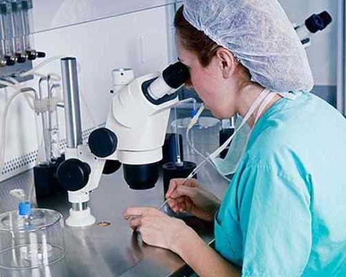 孕五周香港验血男孩_香港查母血查验性别成果准确率到达4%?