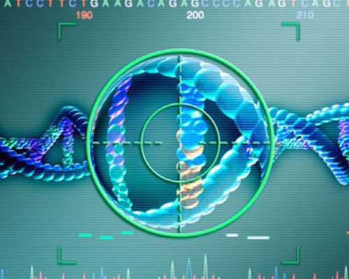 怀孕十五周香港验血_香港查男女的医院,查男女医院机构检测中心哪家好