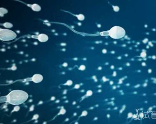 杭州有几家古玩市场,重组人血管内皮抑制素注射的作用