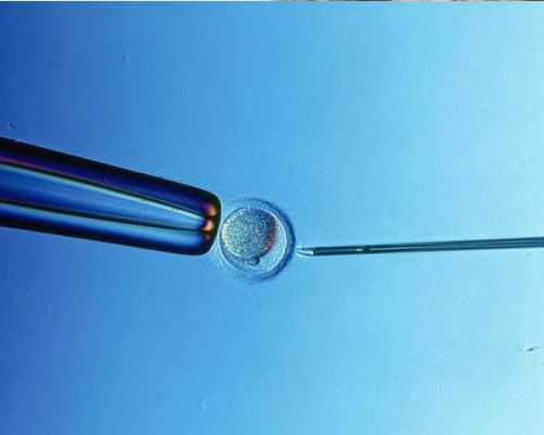 沉浮古玩虫高清完整版,家常南瓜饼