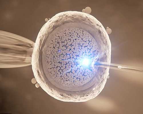 孕9周还能香港验血吗,香港验血检测胎儿性别_怀孕香港验血多久最好