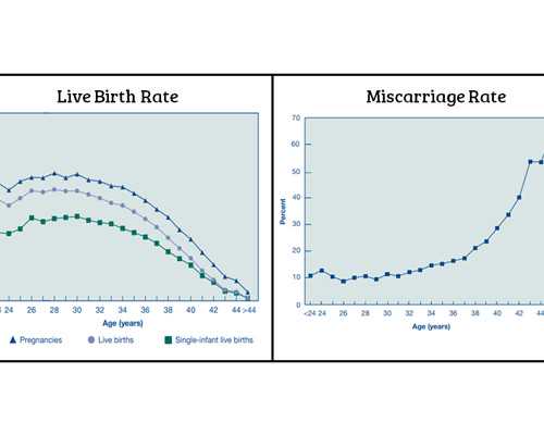 香港验血15条染色体多少条算男孩,泰国试管婴儿移植不良反应对策，这么做胚胎